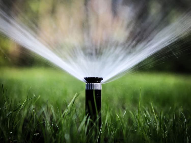 Sprinkler Repair & Replacement